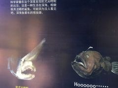 -厦门海底世界