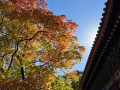 -香山公园