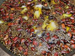 -雲蜀龙阁·金牌水煮鱼(方庄店)