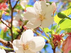 -西北湖绿化广场