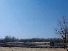 -东郊湿地公园