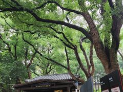 -马王堆汉墓遗址