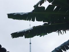-八大山人梅湖景区