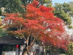 -楚望台遗址公园