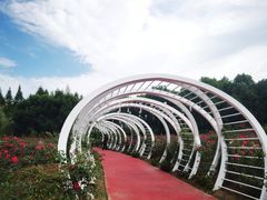 -天生桥景区