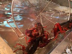 -厦门悦华酒店·绿庭主题自助餐厅