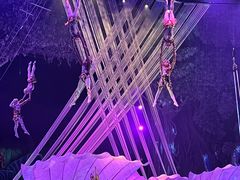 -广州长隆国际大马戏