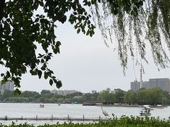 -济南大明湖景区