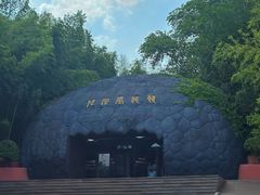 -中国西峡恐龙遗迹园
