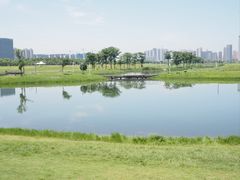 -洋湖国家湿地公园
