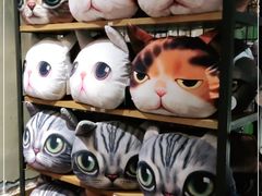 -猫咪博物馆(顶澳仔猫街店)