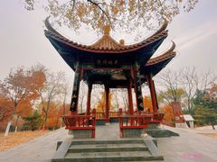 -北宫国家森林公园