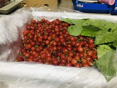 -菜园坝水果市场