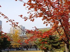 -护国法轮寺