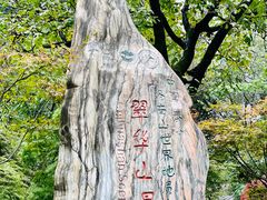 -秦岭终南山世界地质公园翠华山景区