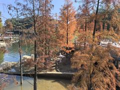 -广州市帽峰山景区