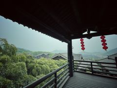 -大唐贡茶院