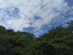 -云溪植物园