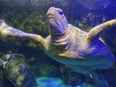 -太平洋海底世界