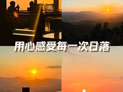 -三亚亚龙湾人间天堂鸟巢度假村