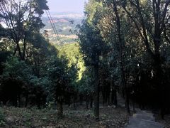 -广州市帽峰山景区