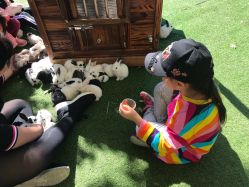 -萌宠亲子动物乐园(槐房万达店)