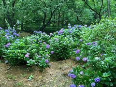 -观象山公园
