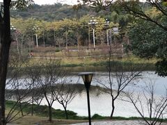 -广州汇华希尔顿逸林酒店