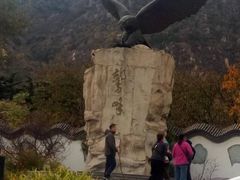 -北京鹫峰国家森林公园