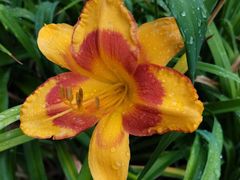 -国家植物园南园