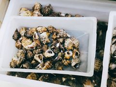 -宾朋海鲜饭庄(兴海路店)