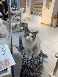 -花系美·美甲美睫精品店