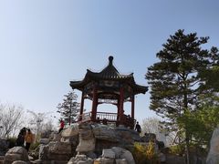 -大兴滨河森林公园