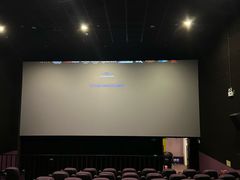 -中影嘉华国际影城(大芬星都里店)