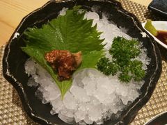 -菊上日式料理(蚌埠银泰店)