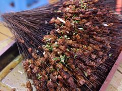 -杨婆婆烤肉(文昌阁店)