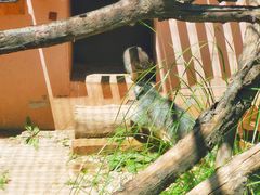 -青藏高原野生动物园