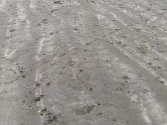 -台山黑沙湾海浴场