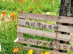 -名花谷生态庄园