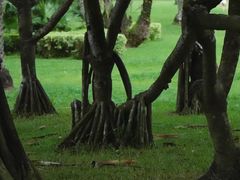 -荔香公园