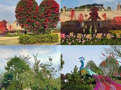 -东莞植物园