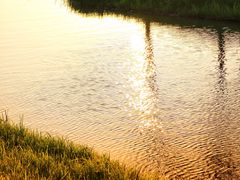 -春花秋色城市公园