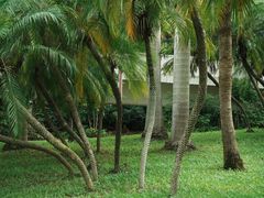 -人民公园(罗湖区)