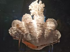 -中国湿地博物馆