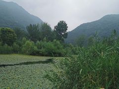 -田峪河公园