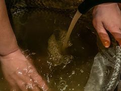 -菩泰·泰式草本按摩SPA(武汉新天地南馆店)
