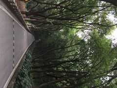 iphone_upload_pic-上海市保健医疗中心(华东疗养院)