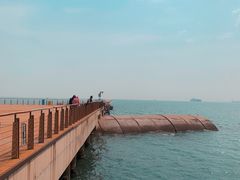 -东疆建设开发纪念公园