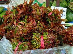 -万达广场(龙湖店)