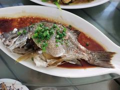 -七鲜渔港美食餐厅(巽寮湾海景店)